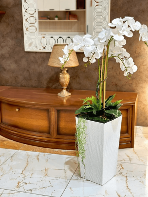 Орхидея белая в напольном кашпо