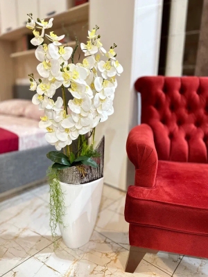 Орхидея белая в напольной вазе